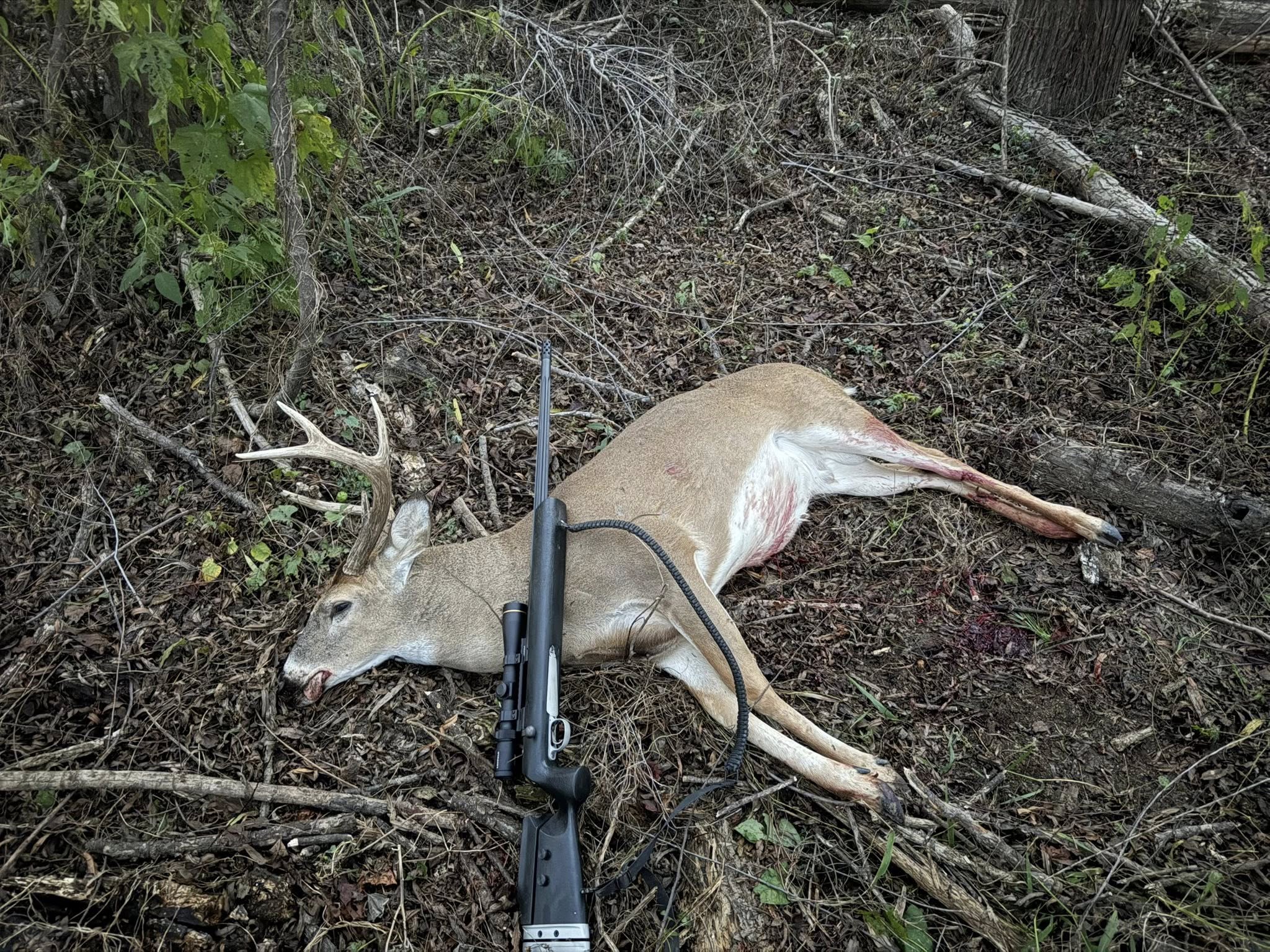 Clean Harvest