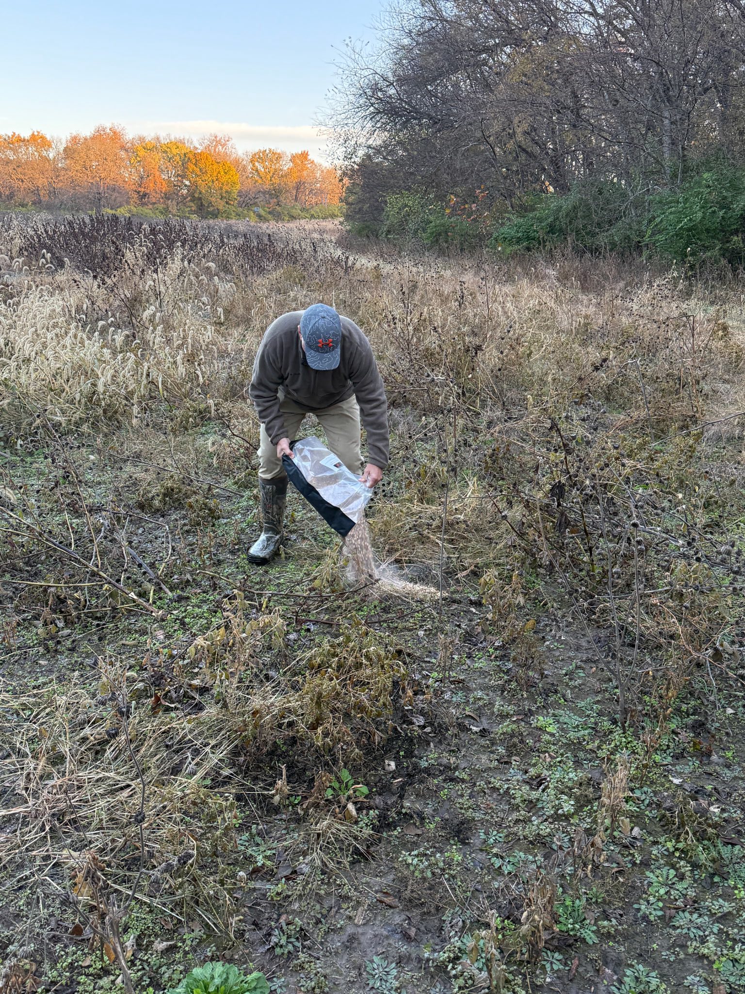 In The Field